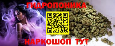 стаф Волжский