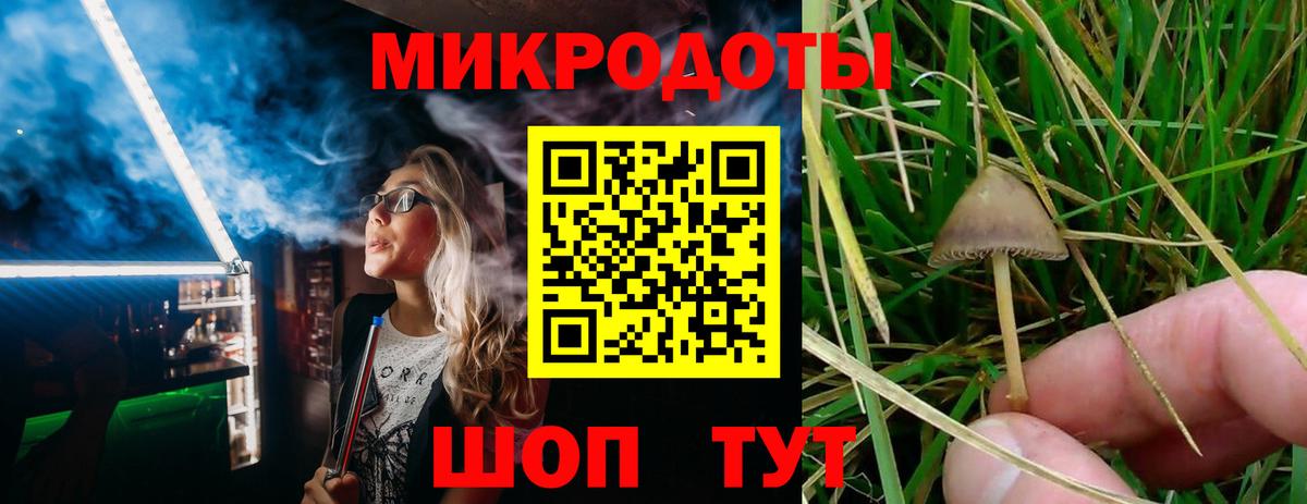 Псилоцибиновые грибы Cubensis  Вход с VPN  Мирный 