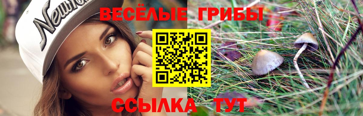 Галлюциногенные грибы мухоморы Мирный